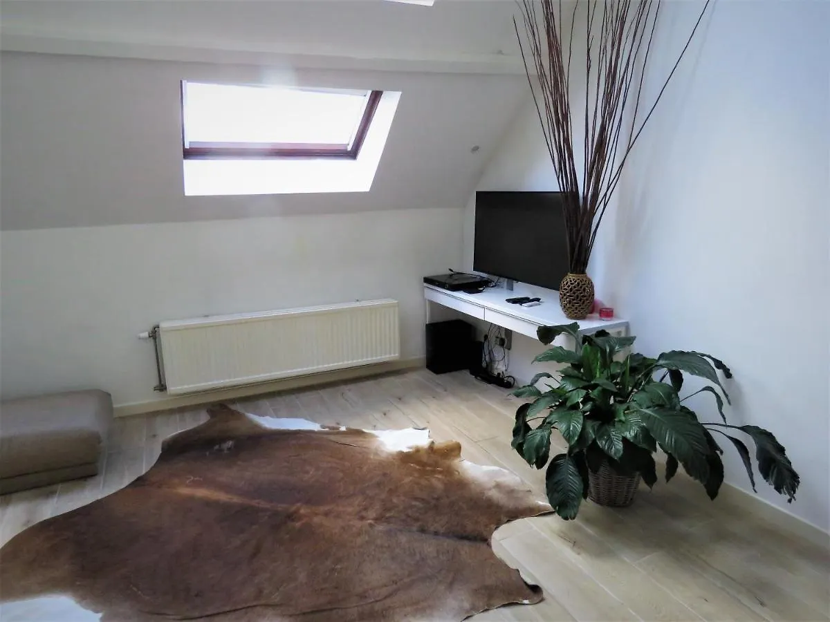 Villa Einstein Apartments Antwerpen