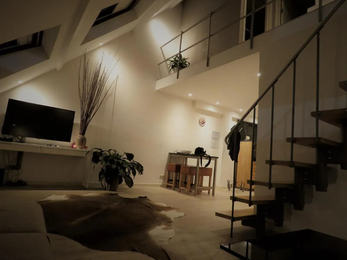 Villa Einstein Apartments アントウェルペン