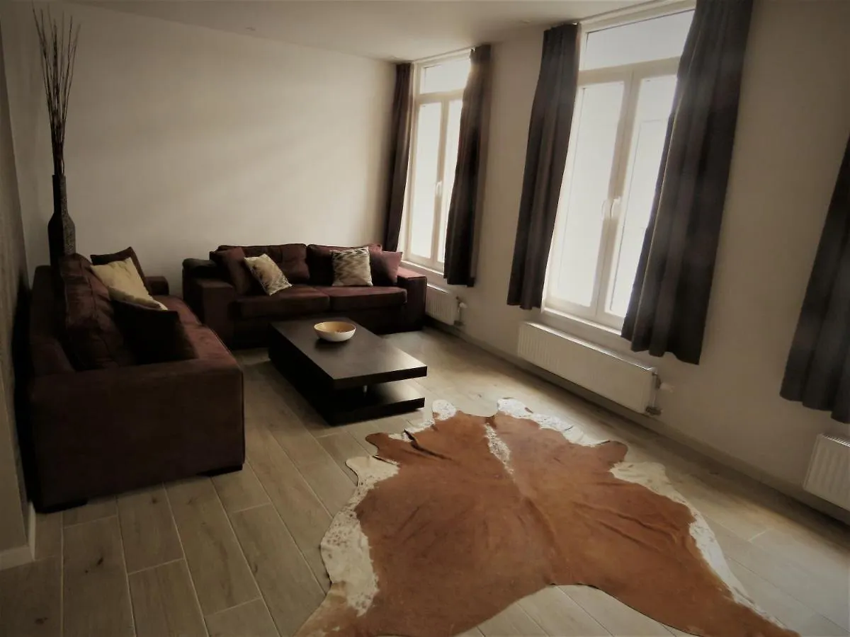 Villa Einstein Apartments アントウェルペン 0*,