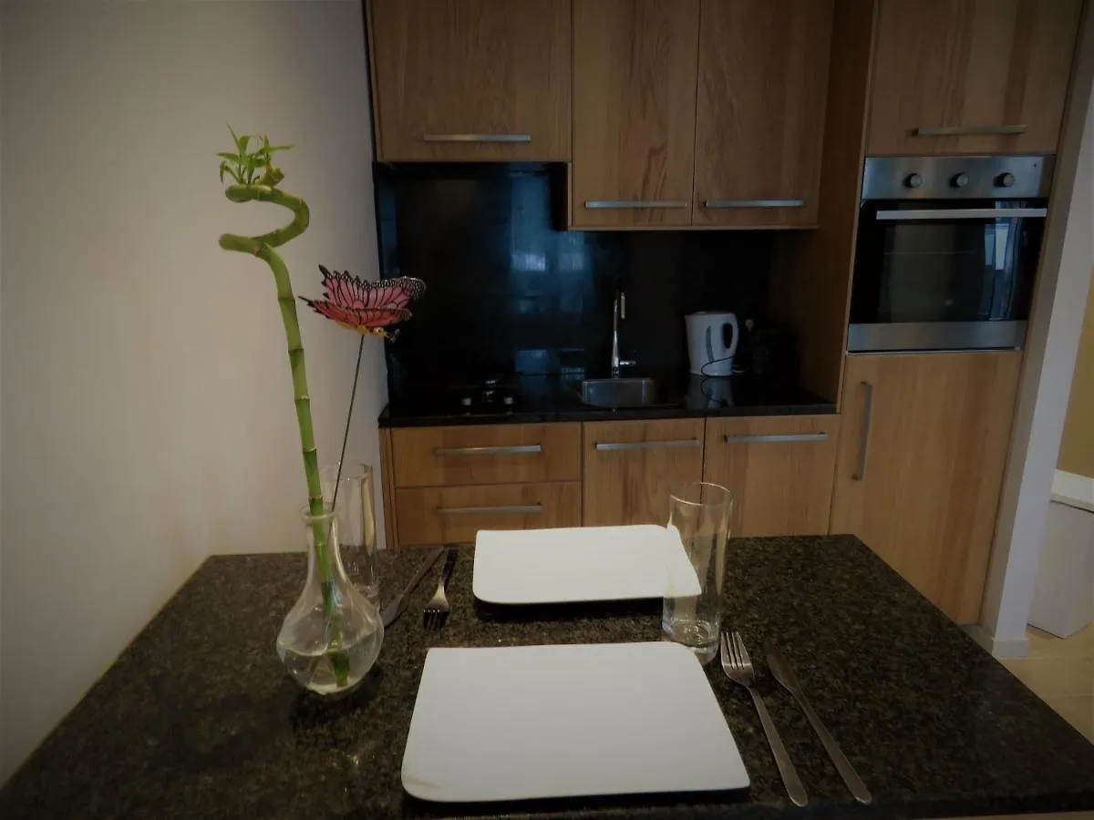 Villa Einstein Apartments アントウェルペン