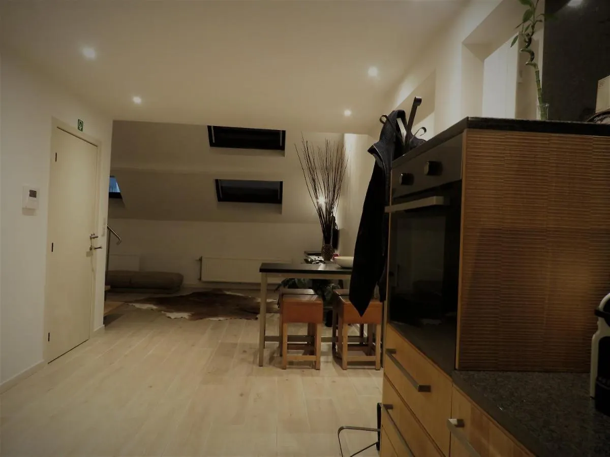 Villa Einstein Apartments アントウェルペン