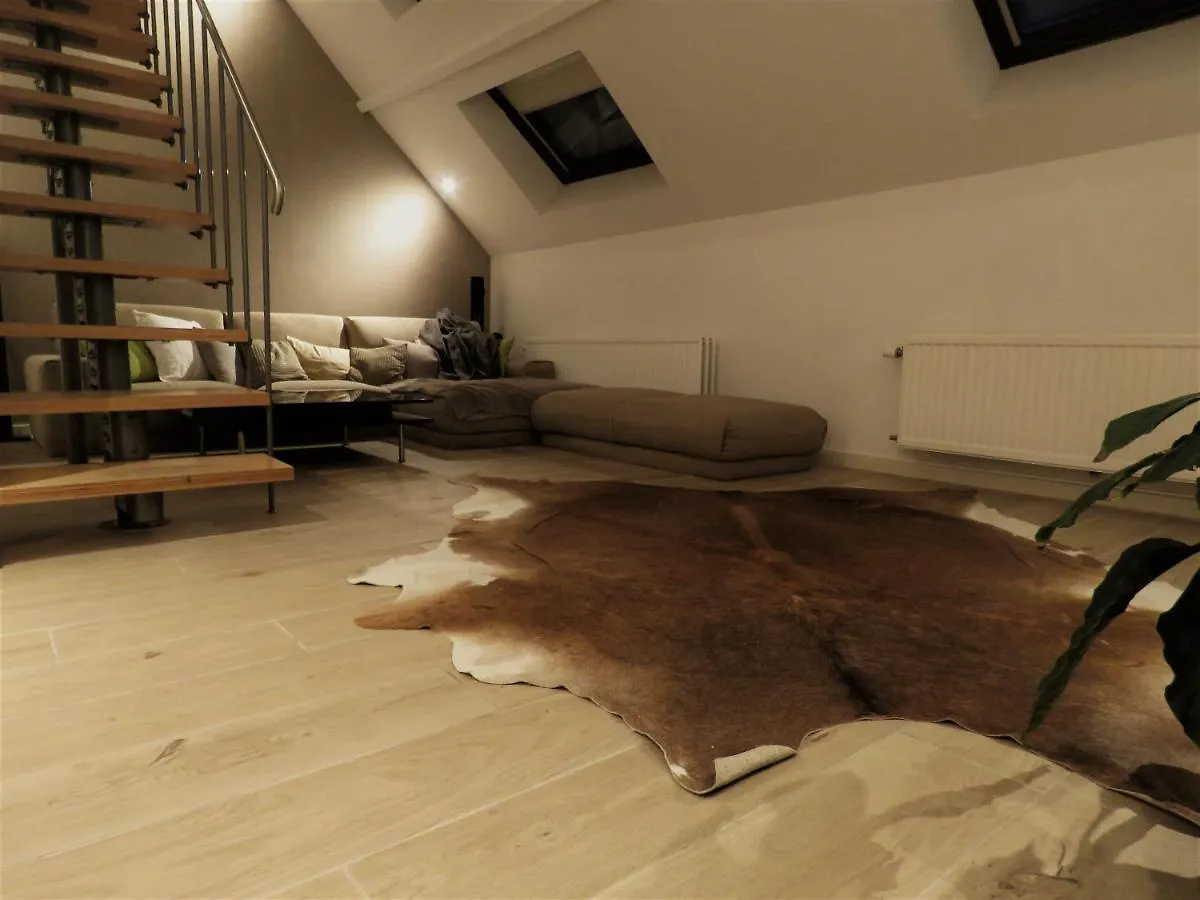 Villa Einstein Apartments アントウェルペン ベルギー
